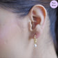 Solitaire Pearl Delight  Drop Gold Plated Earring