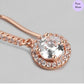 Divine Chic Rose Gold Fish Hook 925 Silver Earrings