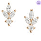 Crystal Leaflet 925 Silver Earrings In Rose Gold